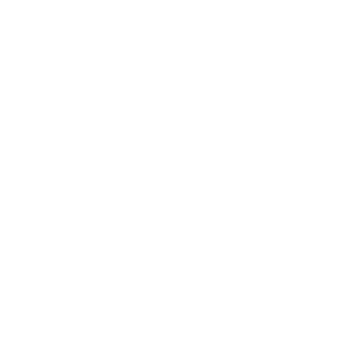 Stabilisation des images vidéo