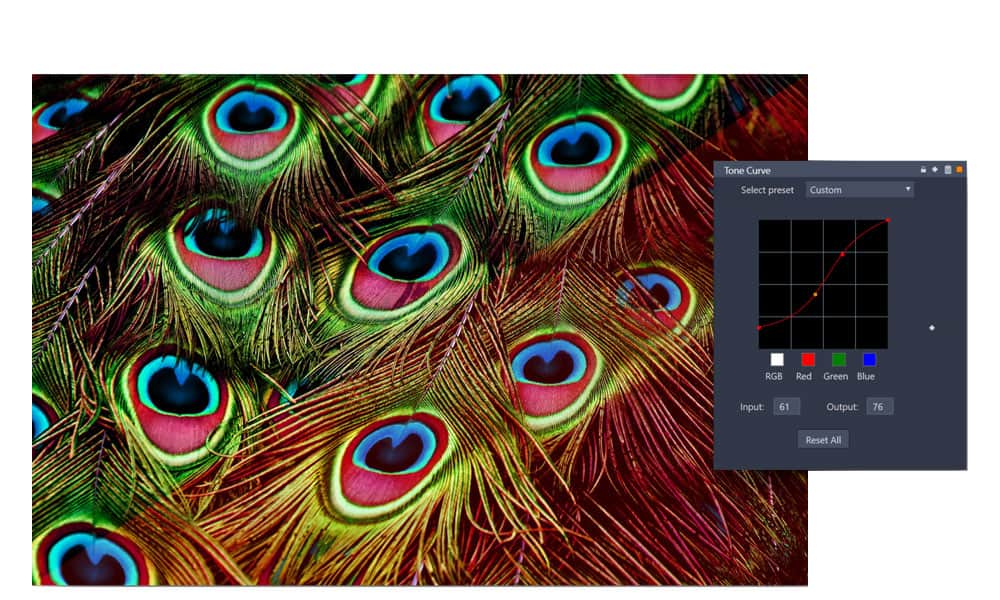 Tone Curve